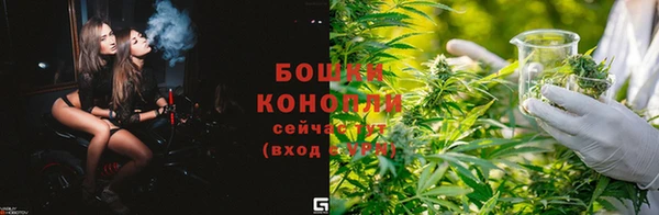 PSILOCYBIN Карталы