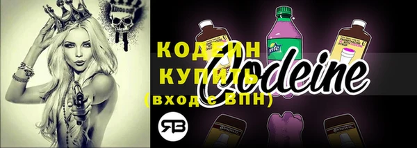 PSILOCYBIN Карталы