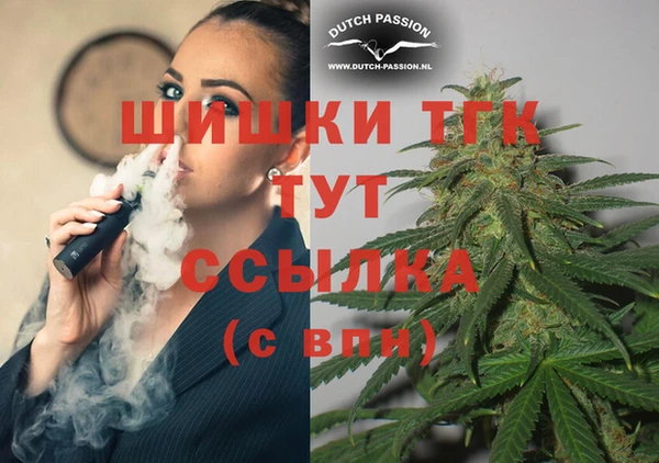 PSILOCYBIN Карталы