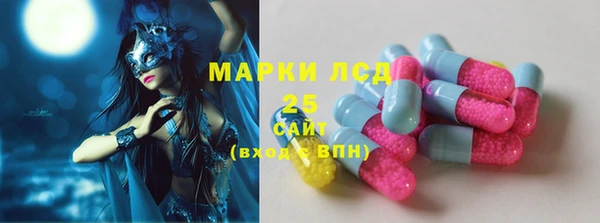 PSILOCYBIN Карталы
