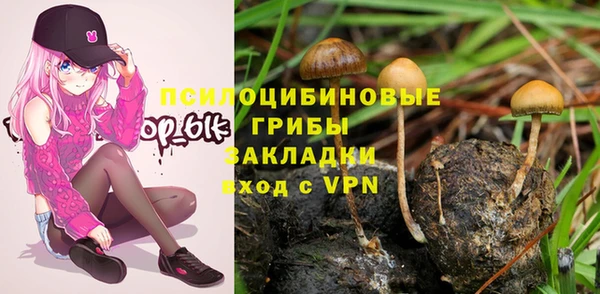 PSILOCYBIN Карталы
