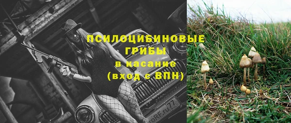 PSILOCYBIN Карталы