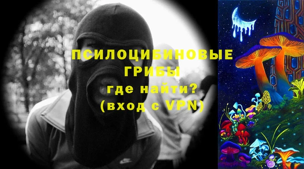 PSILOCYBIN Карталы