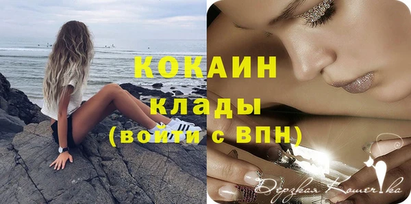 PSILOCYBIN Карталы
