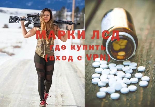 PSILOCYBIN Карталы