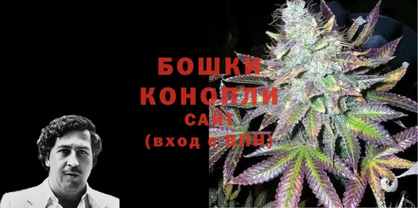 PSILOCYBIN Карталы